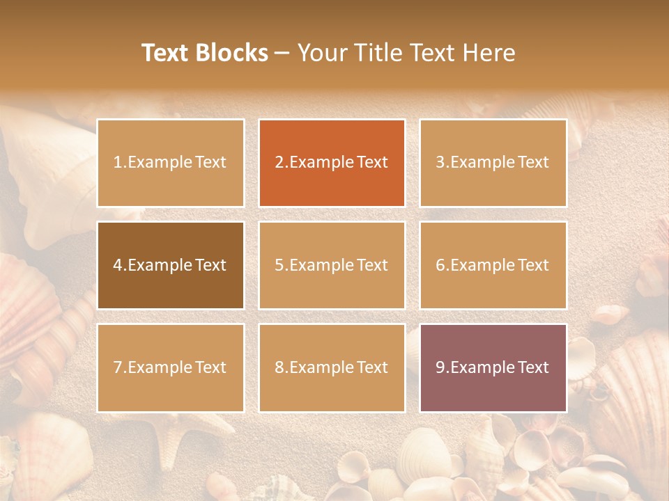 Seashells On Sand PowerPoint Template