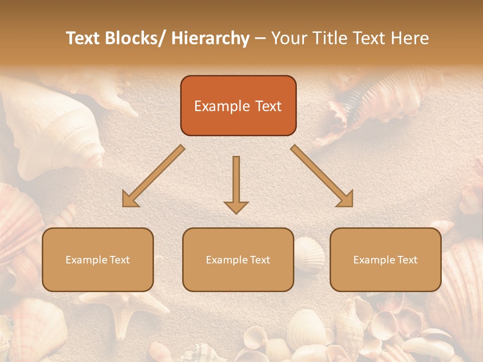 Seashells On Sand PowerPoint Template