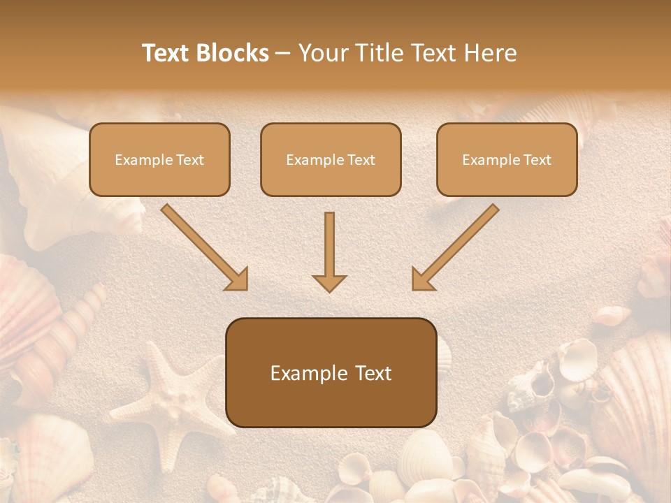 Seashells On Sand PowerPoint Template