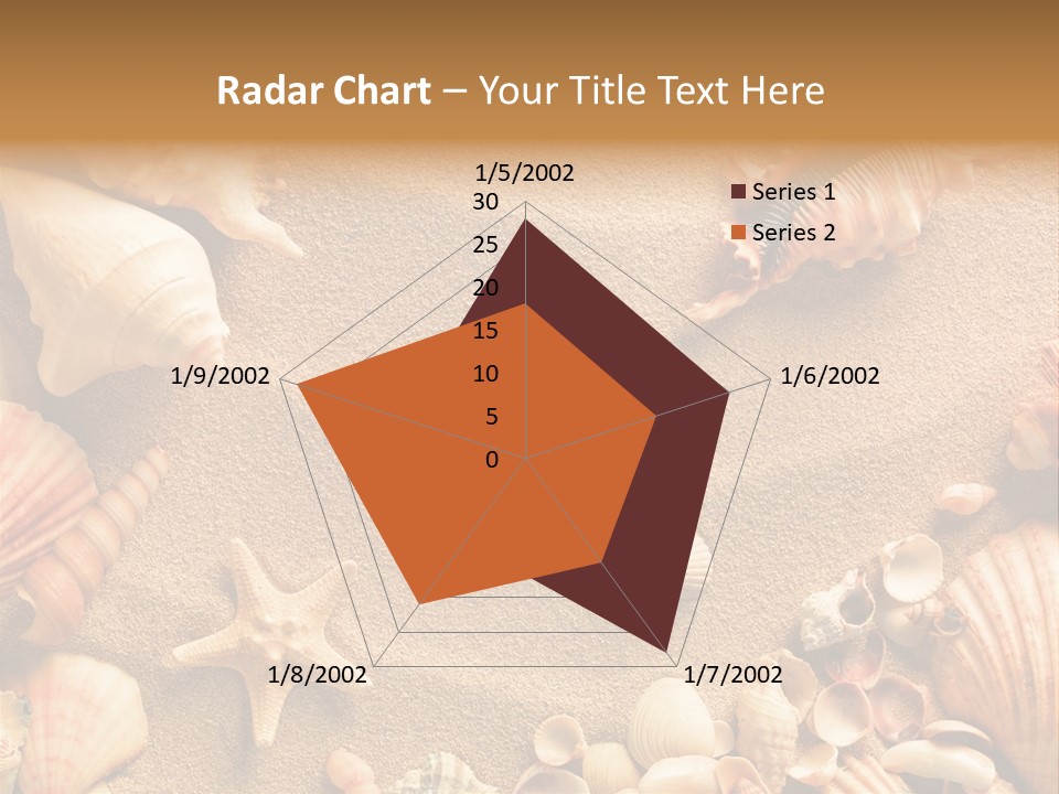 Seashells On Sand PowerPoint Template