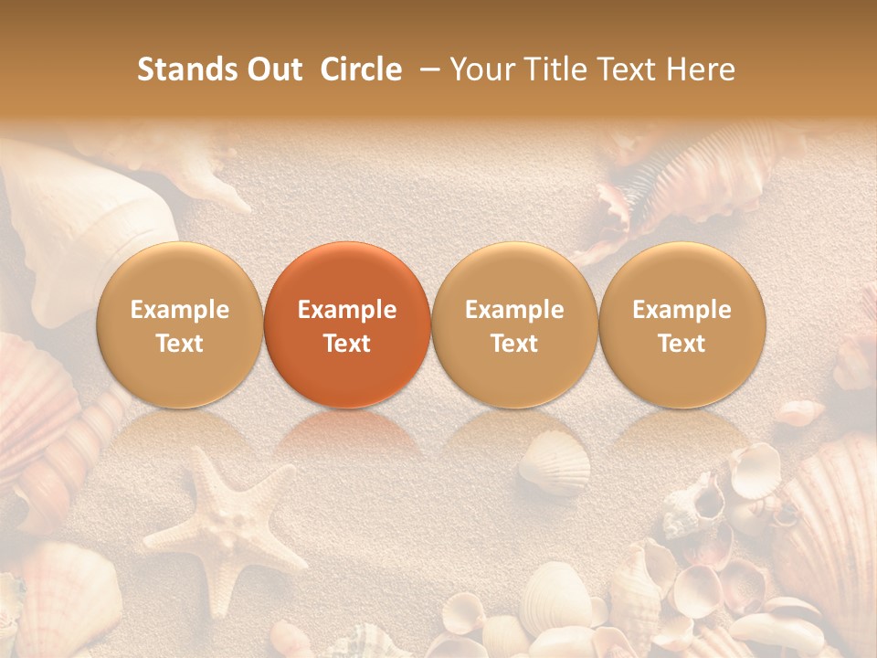 Seashells On Sand PowerPoint Template