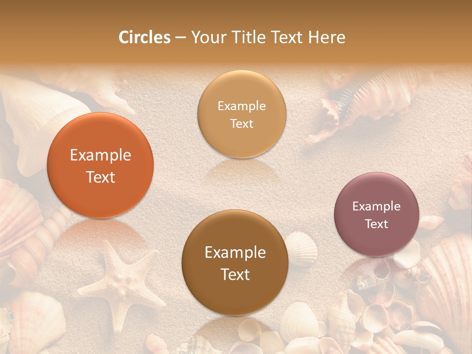Seashells On Sand PowerPoint Template