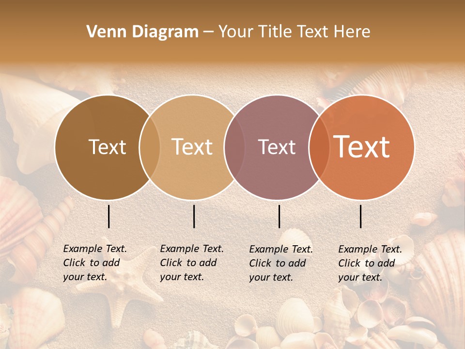 Seashells On Sand PowerPoint Template