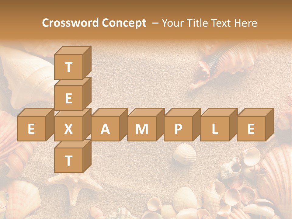Seashells On Sand PowerPoint Template