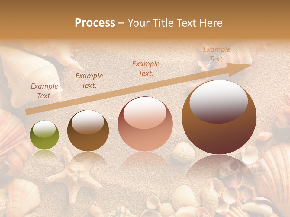 Seashells On Sand PowerPoint Template