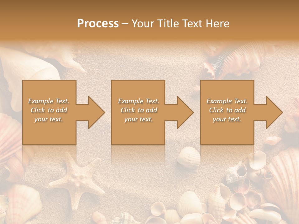 Seashells On Sand PowerPoint Template