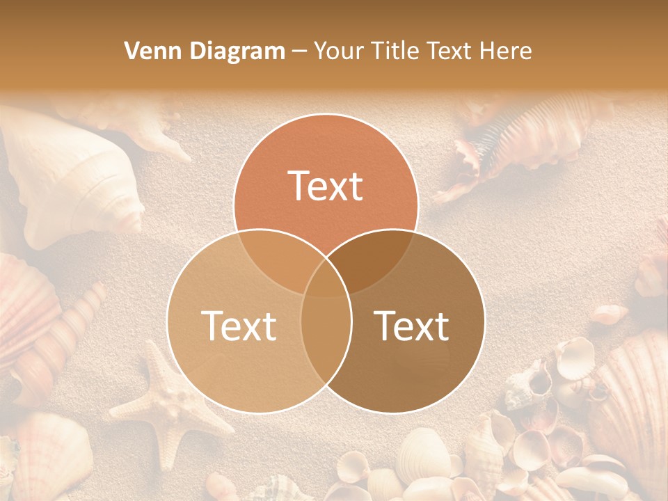 Seashells On Sand PowerPoint Template