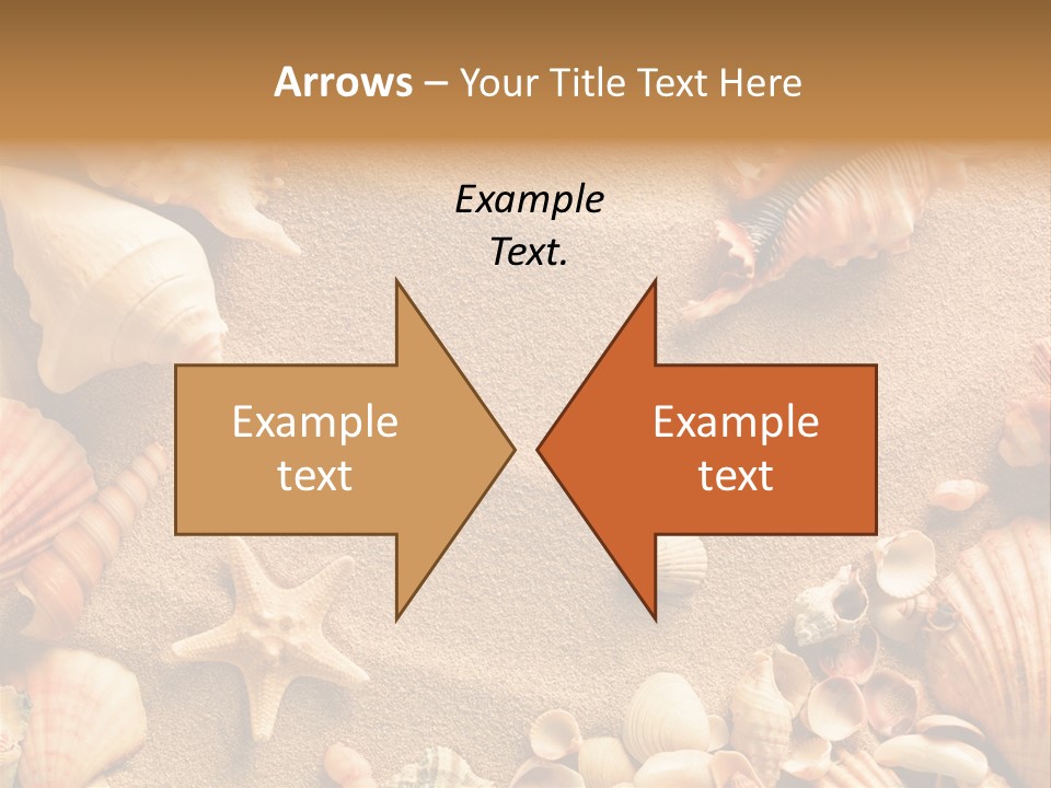 Seashells On Sand PowerPoint Template