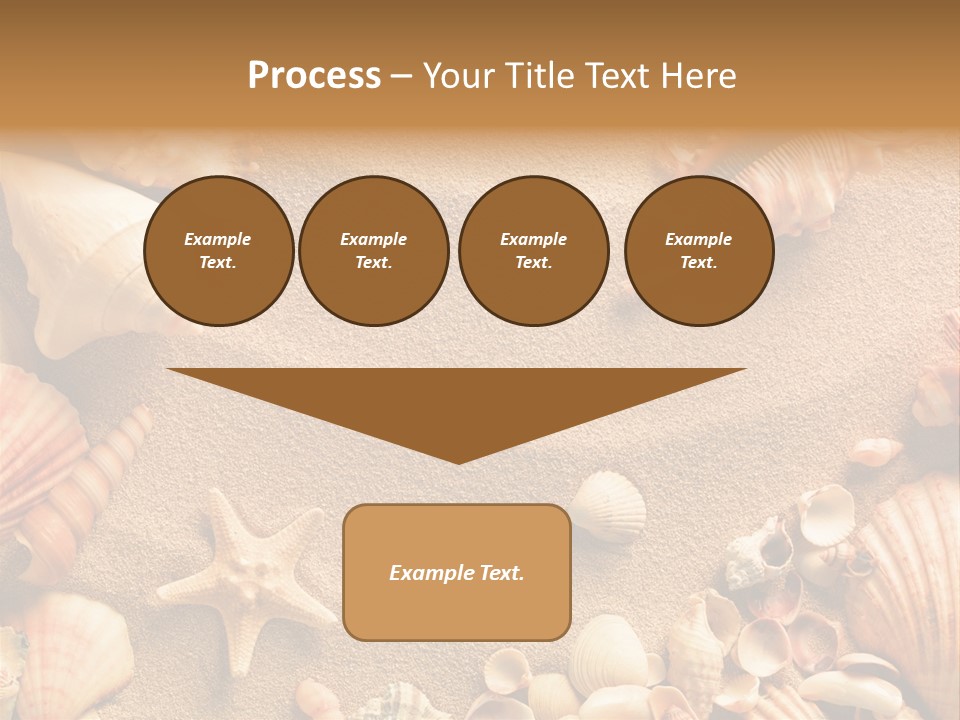 Seashells On Sand PowerPoint Template