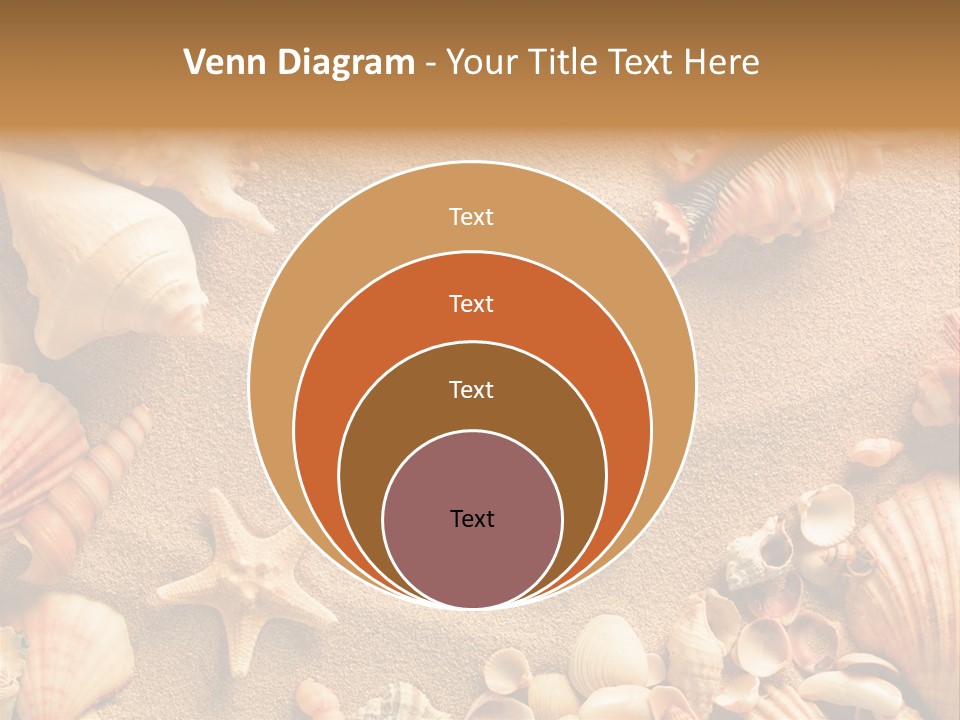 Seashells On Sand PowerPoint Template