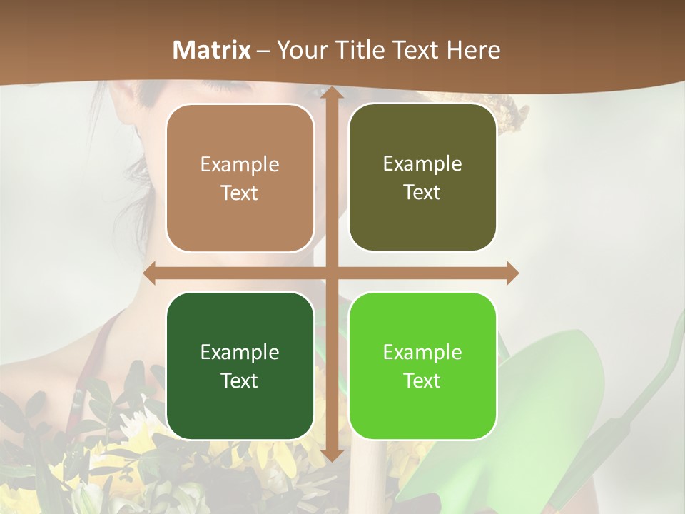 Bright Studio Modern PowerPoint Template