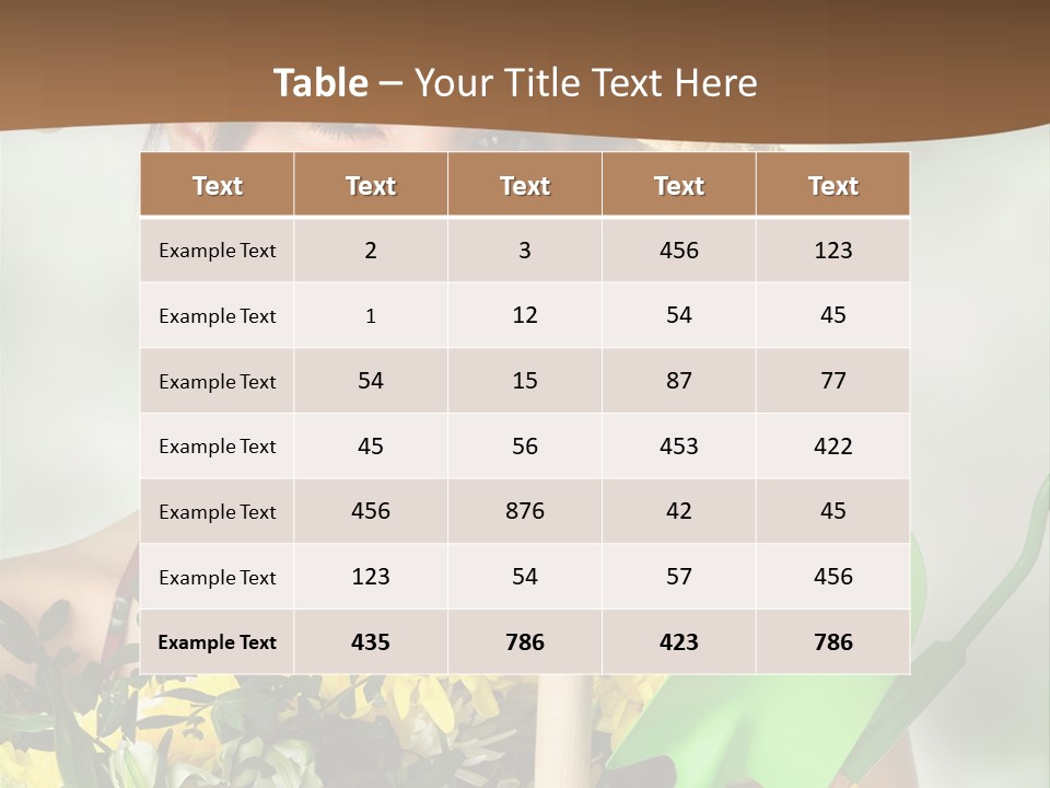 Bright Studio Modern PowerPoint Template