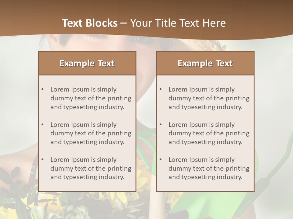 Bright Studio Modern PowerPoint Template
