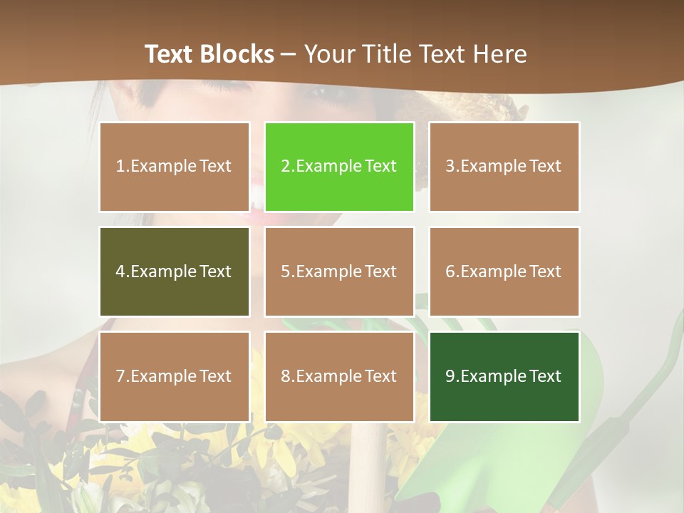 Bright Studio Modern PowerPoint Template