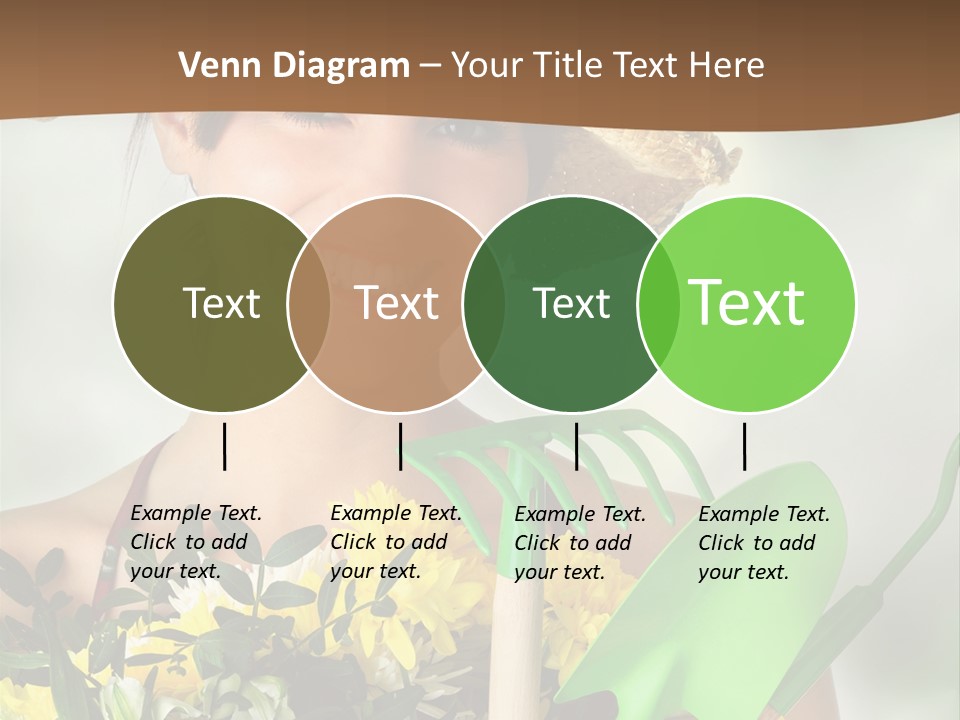 Bright Studio Modern PowerPoint Template