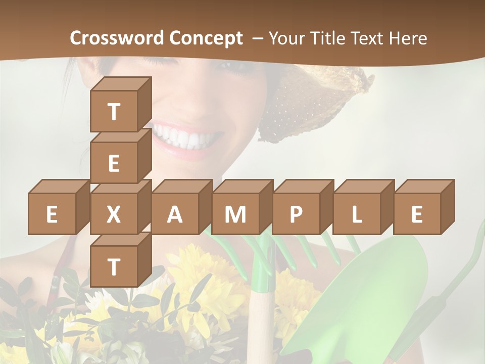 Bright Studio Modern PowerPoint Template