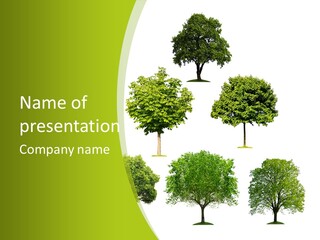 Trees Stock PowerPoint Template