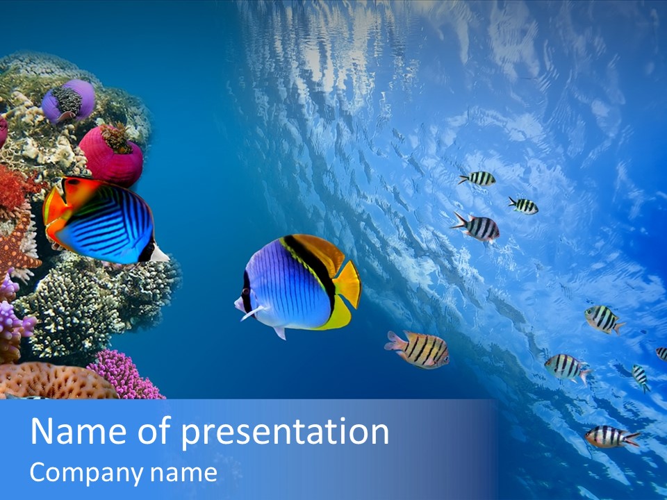 Terraplenagem PowerPoint Template