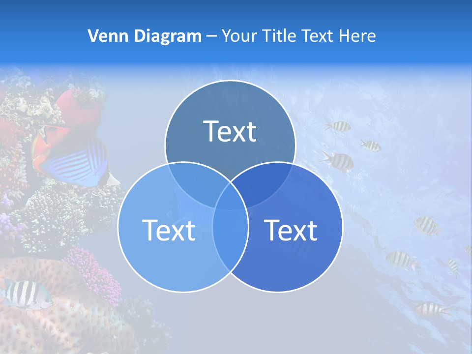 Terraplenagem PowerPoint Template