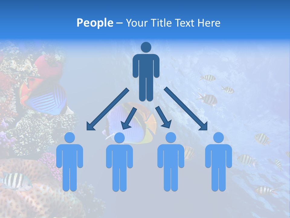 Terraplenagem PowerPoint Template