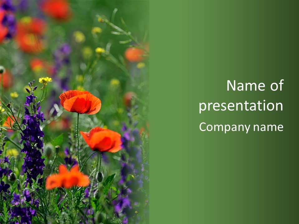 Background Grass Summer PowerPoint Template