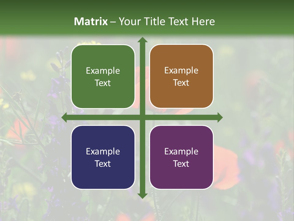 Background Grass Summer PowerPoint Template