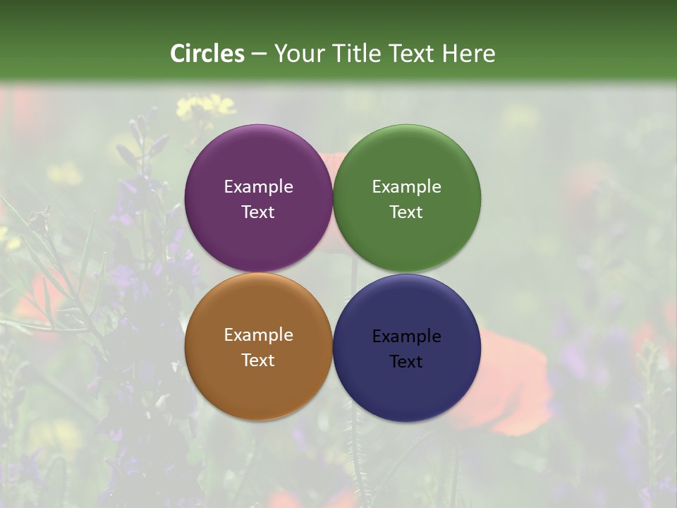 Background Grass Summer PowerPoint Template