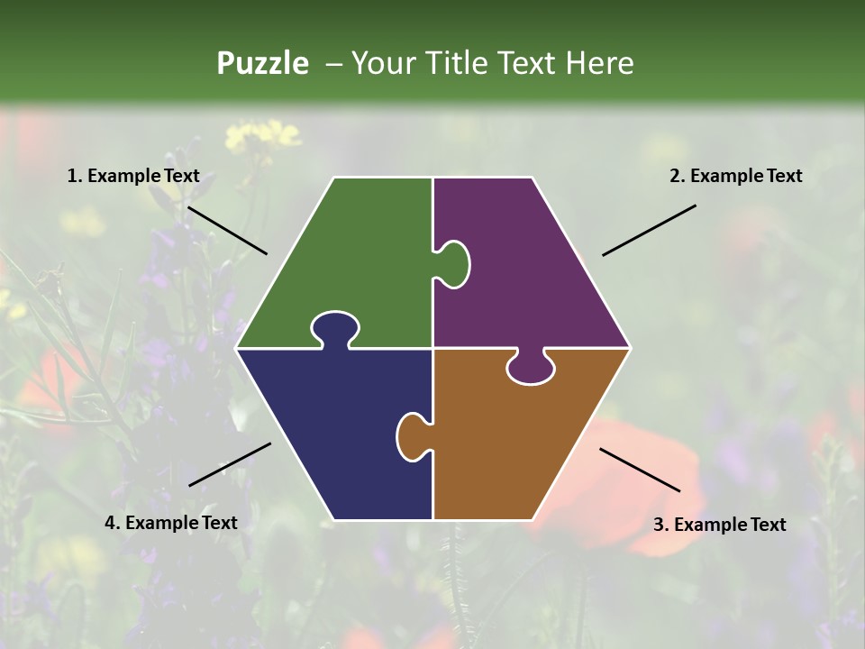 Background Grass Summer PowerPoint Template