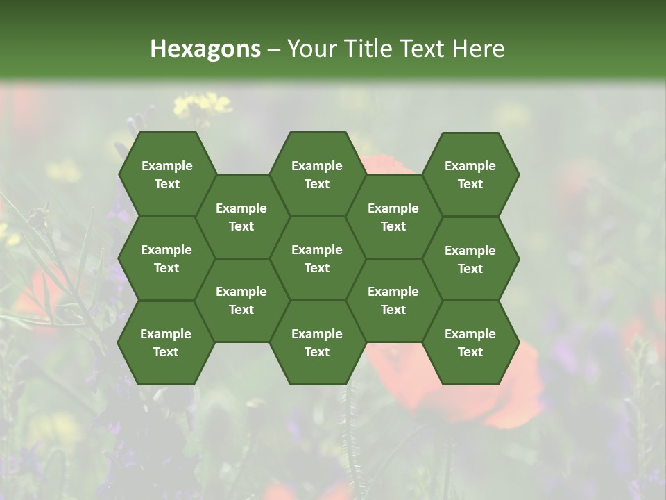 Background Grass Summer PowerPoint Template