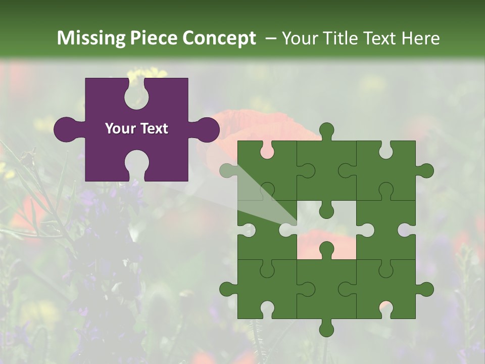 Background Grass Summer PowerPoint Template