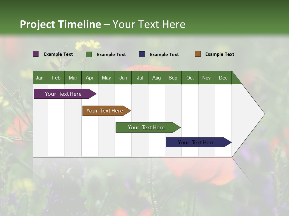 Background Grass Summer PowerPoint Template