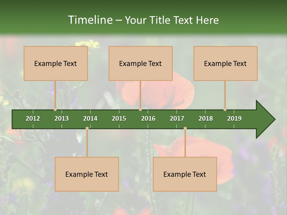 Background Grass Summer PowerPoint Template