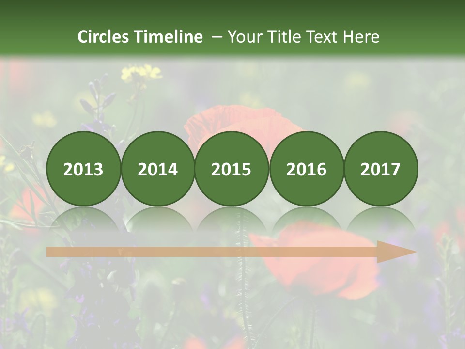 Background Grass Summer PowerPoint Template