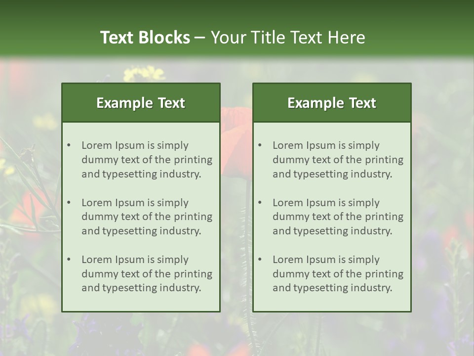 Background Grass Summer PowerPoint Template