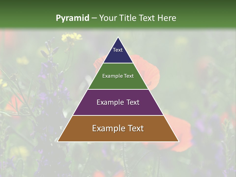 Background Grass Summer PowerPoint Template