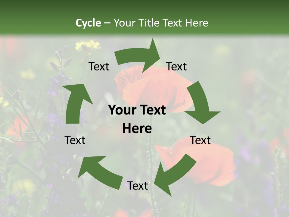 Background Grass Summer PowerPoint Template