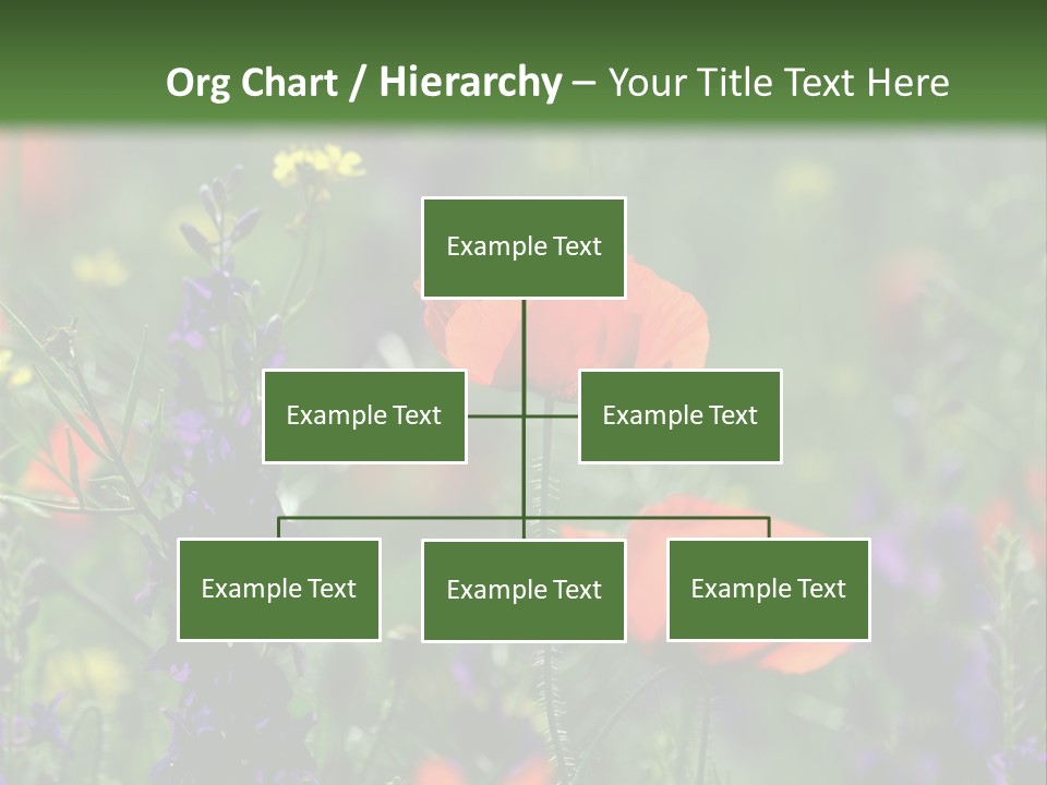 Background Grass Summer PowerPoint Template