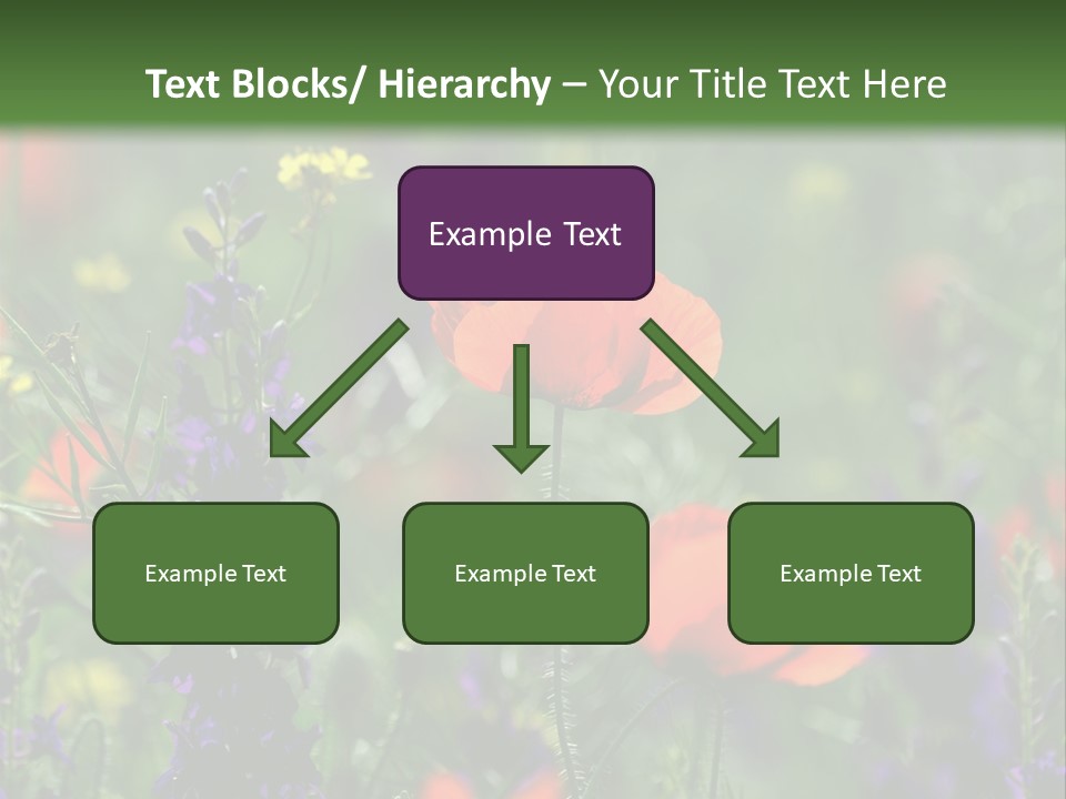 Background Grass Summer PowerPoint Template
