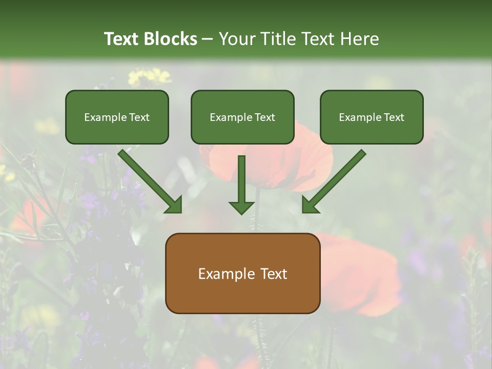 Background Grass Summer PowerPoint Template