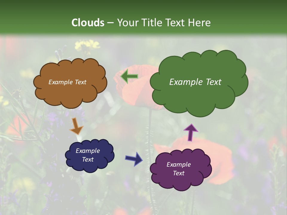 Background Grass Summer PowerPoint Template