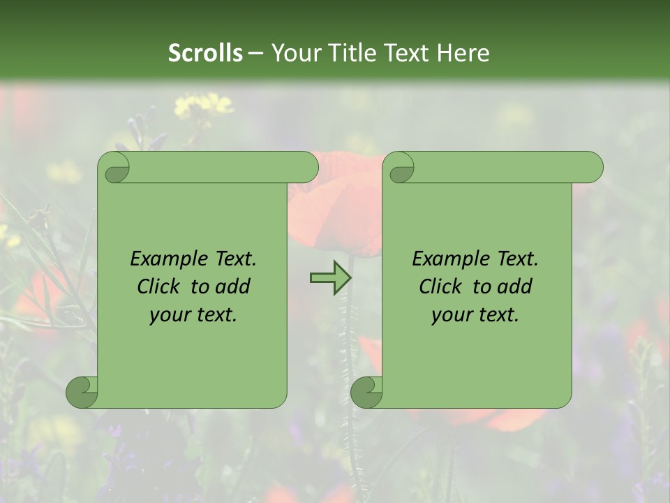Background Grass Summer PowerPoint Template