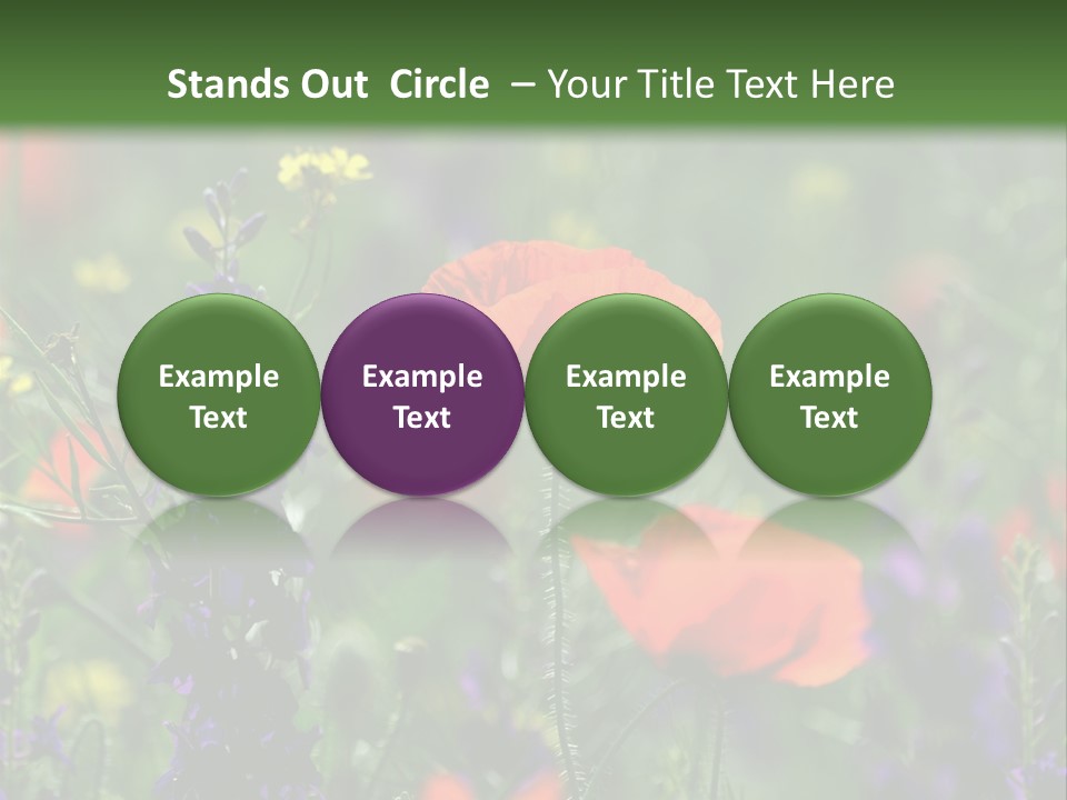 Background Grass Summer PowerPoint Template