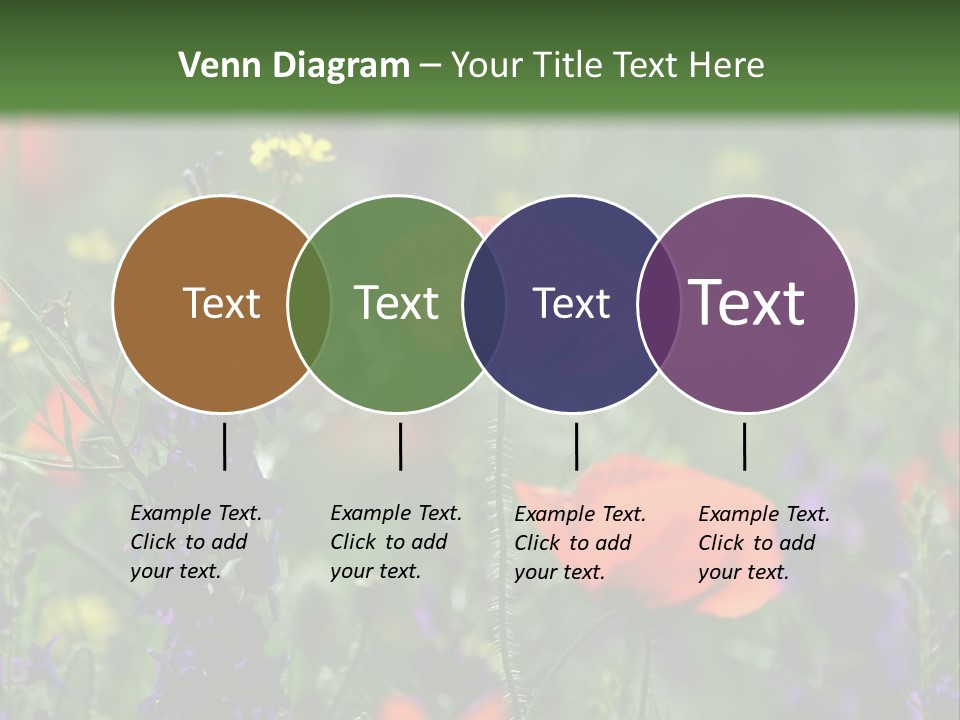 Background Grass Summer PowerPoint Template