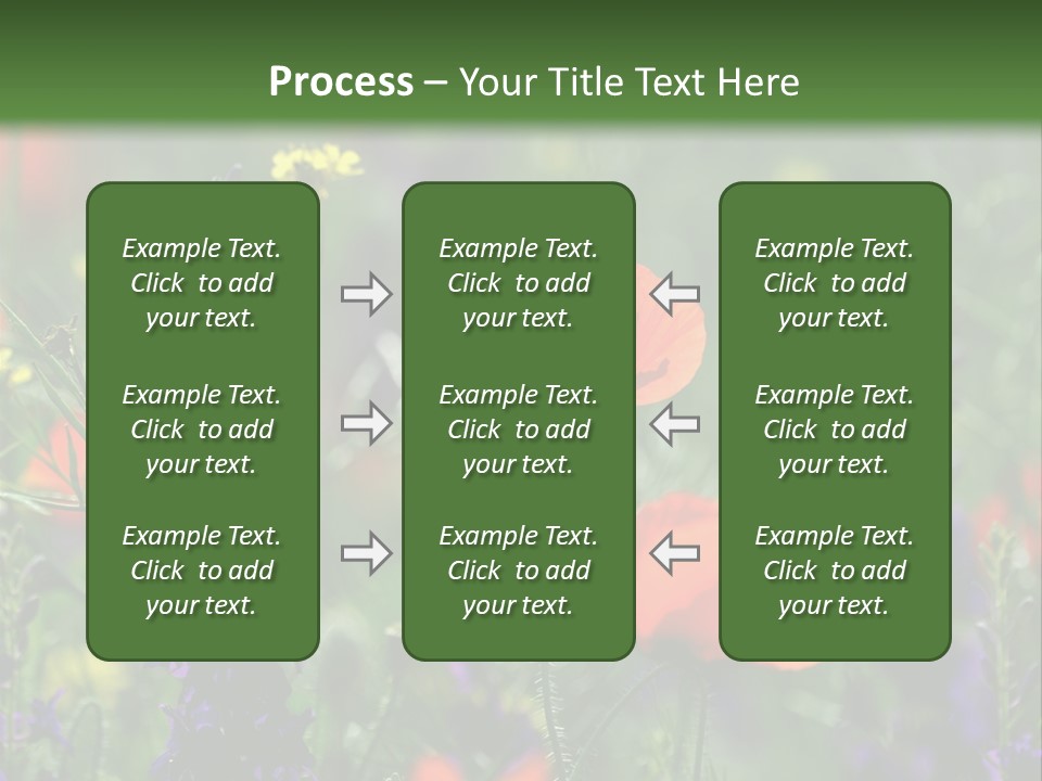Background Grass Summer PowerPoint Template