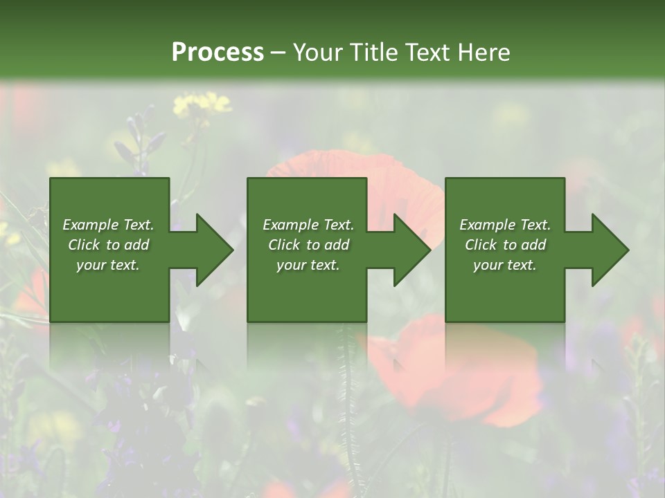 Background Grass Summer PowerPoint Template