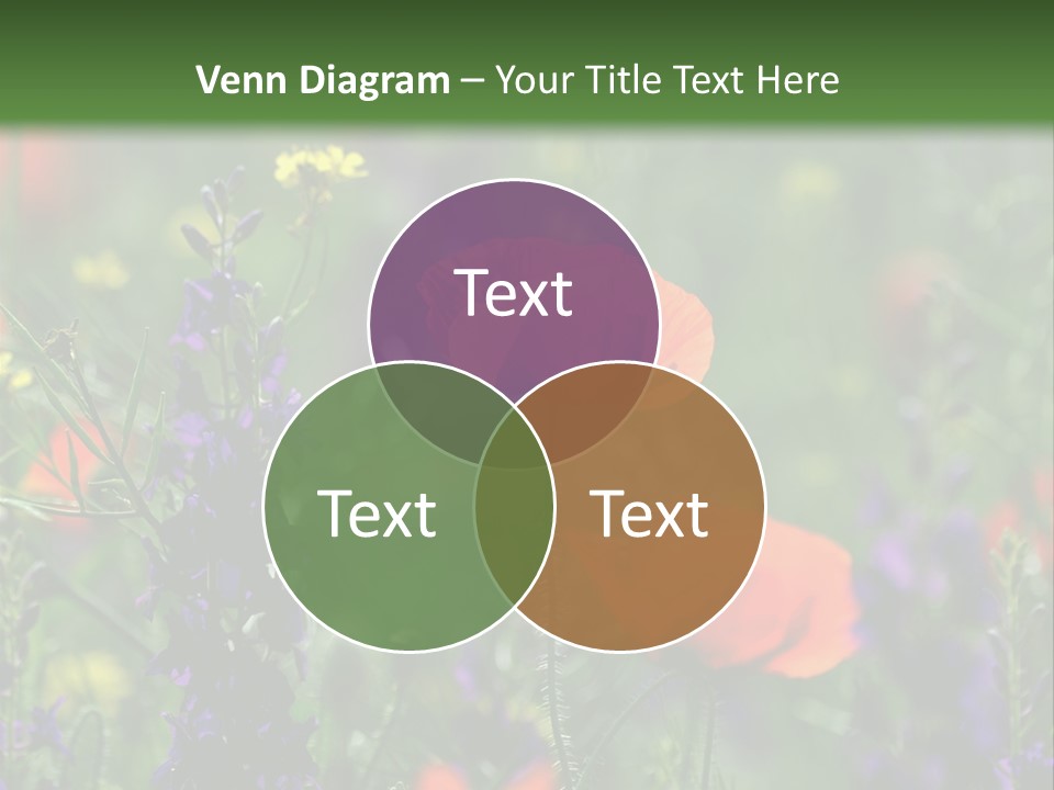 Background Grass Summer PowerPoint Template