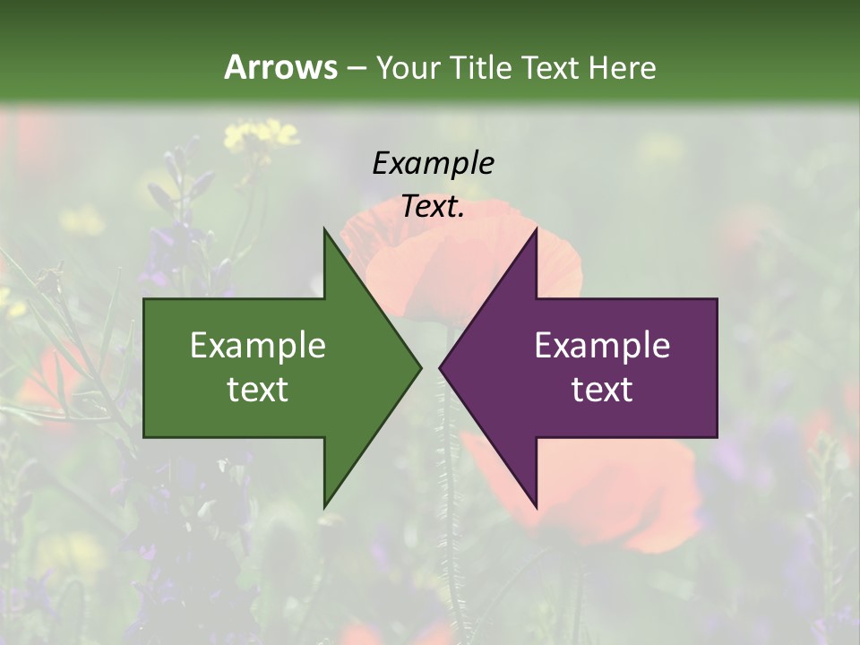 Background Grass Summer PowerPoint Template