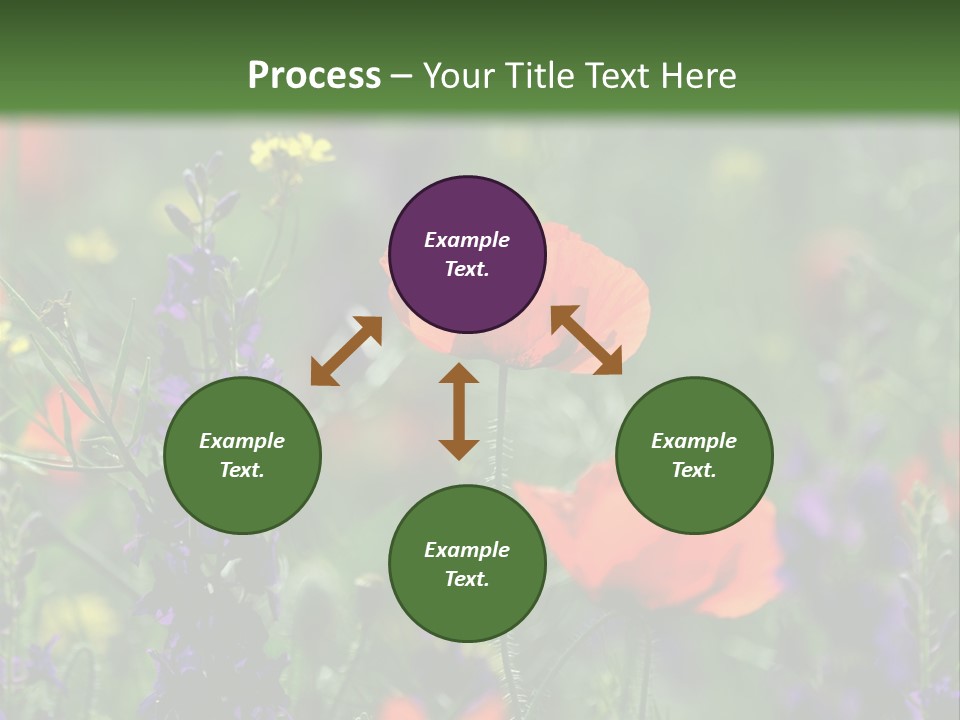 Background Grass Summer PowerPoint Template