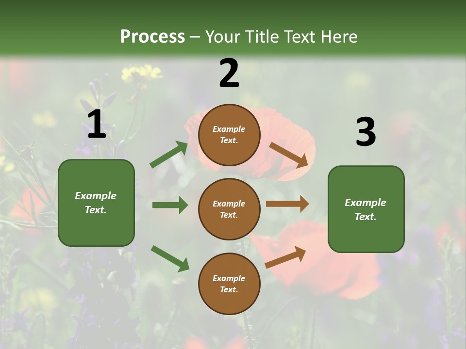 Background Grass Summer PowerPoint Template