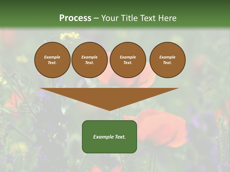 Background Grass Summer PowerPoint Template